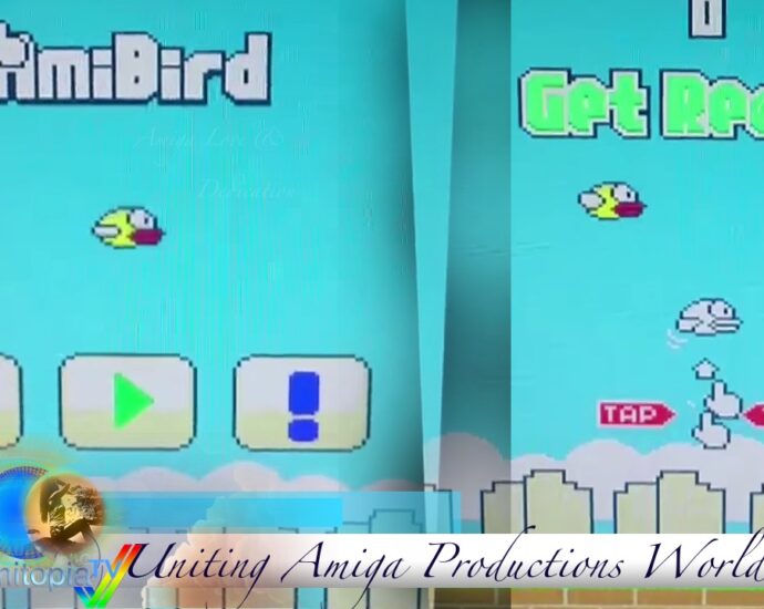 AmiBird Review
