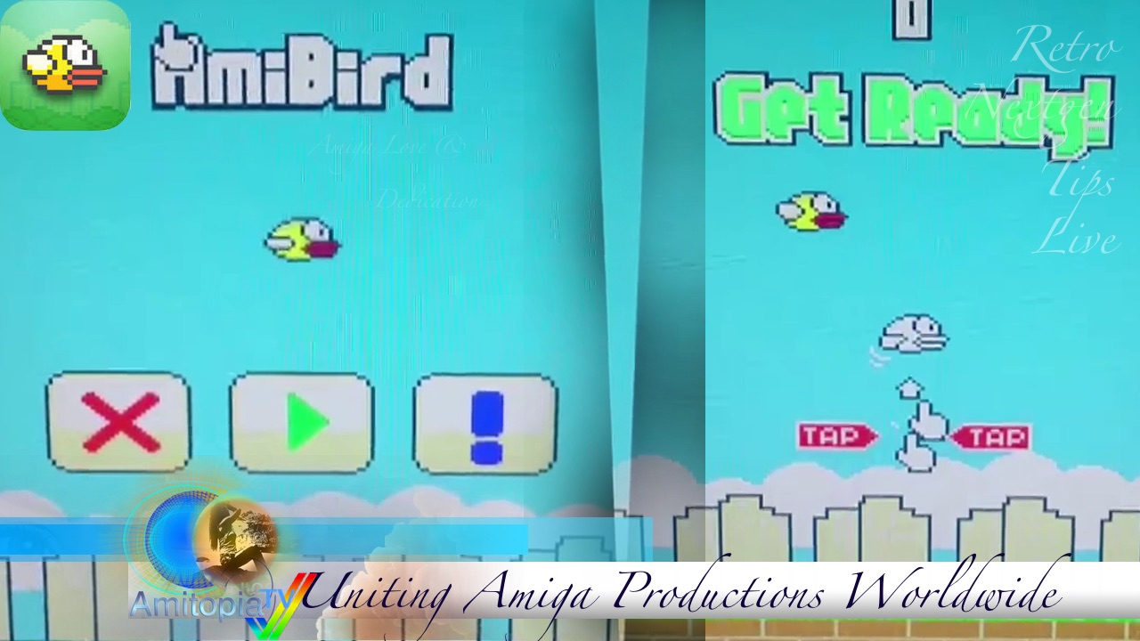 AmiBird Review